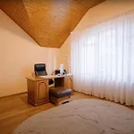 Vila Praha Branik - Wellness, Fitness, Garden