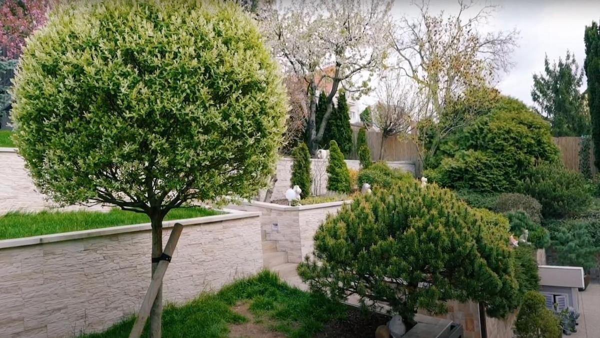 Villa Branik - Wellness, Fitness, Garden *