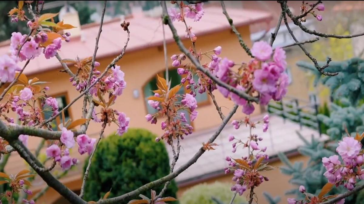 Branik - Wellness, Fitness, Garden * Prague